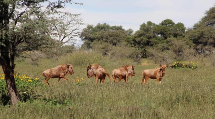 Frylinkspan Guestfarm and Venue