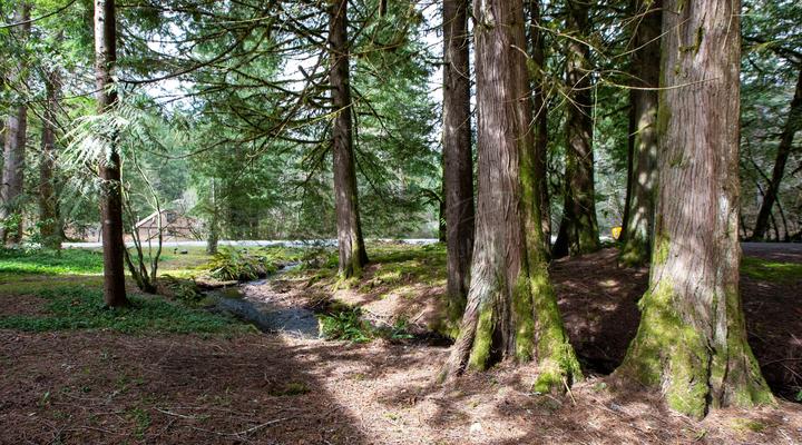 #37 Snowline Lodge Condo