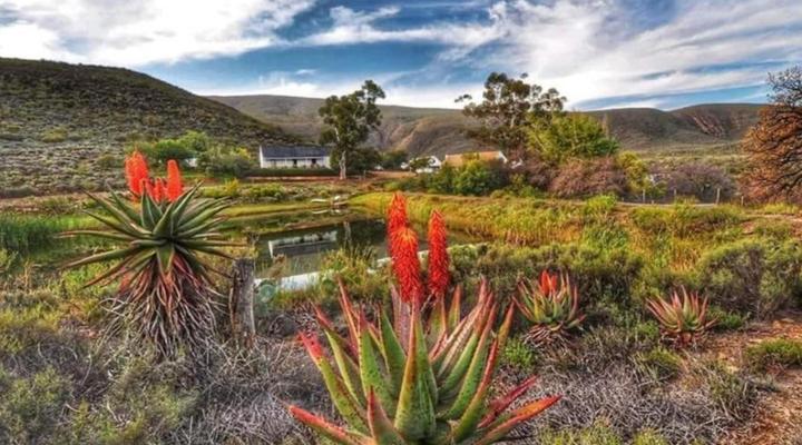 Watermill Farm Cottages