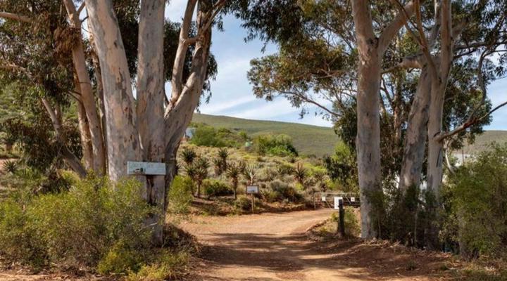 Watermill Farm Cottages
