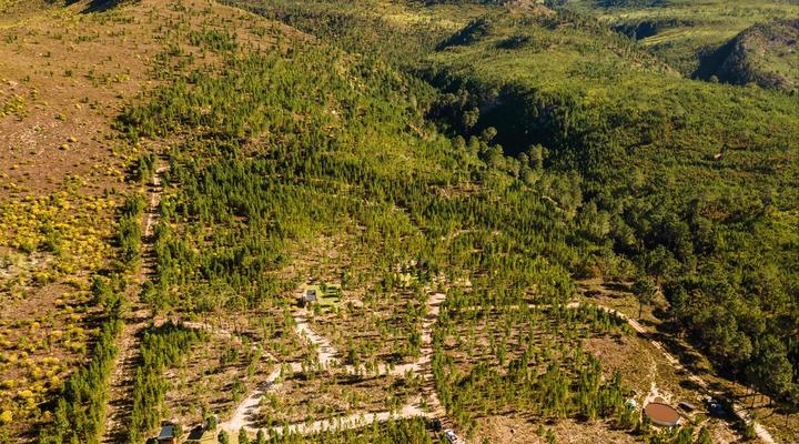 Bumbrah Camp and Glamp