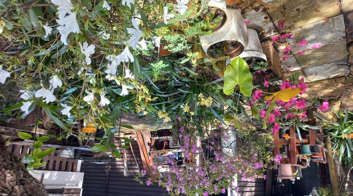 Glen House Self catering units Knysna Unit D