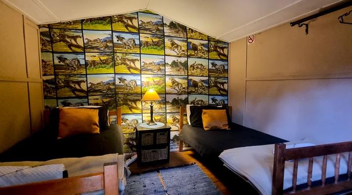 1322 Backpackers International