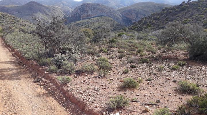 Wolverfontein Karoo Cottages