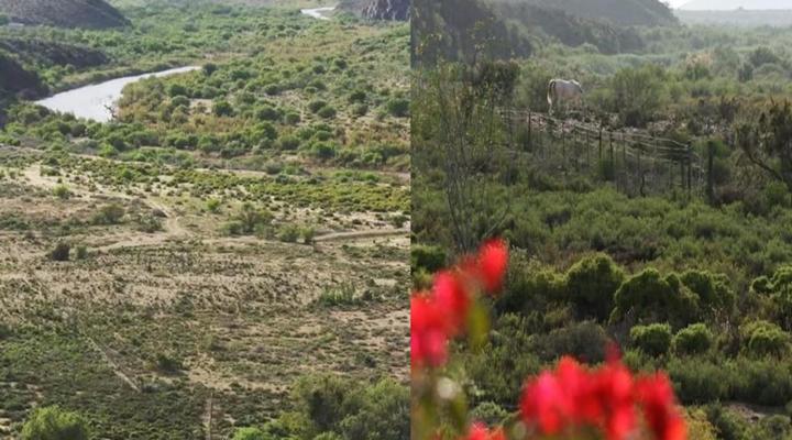 Wolverfontein Karoo Cottages