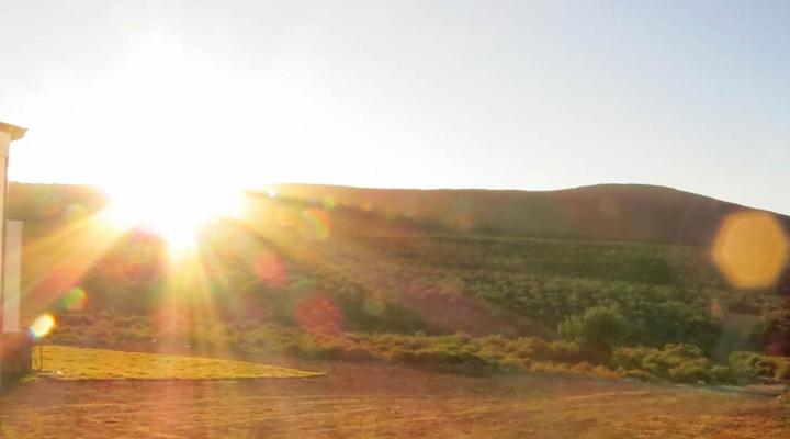 Desert Wind Private Guest and Game Farm