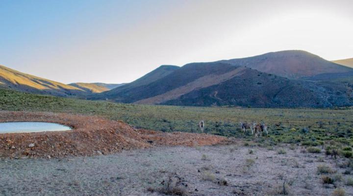 Desert Wind Private Guest and Game Farm