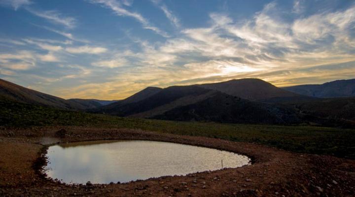 Desert Wind Private Guest and Game Farm