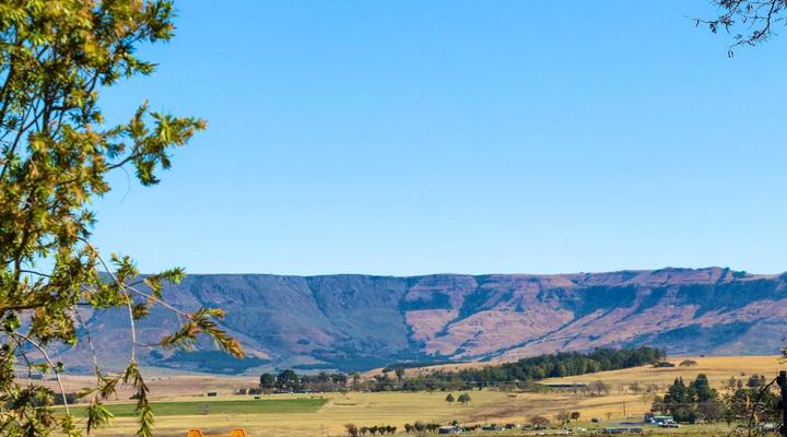 Wild Olive Luxury Accommodation