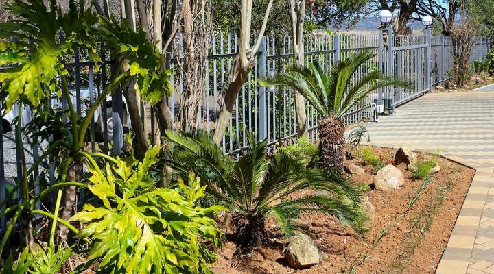 Wild Olive Luxury Accommodation