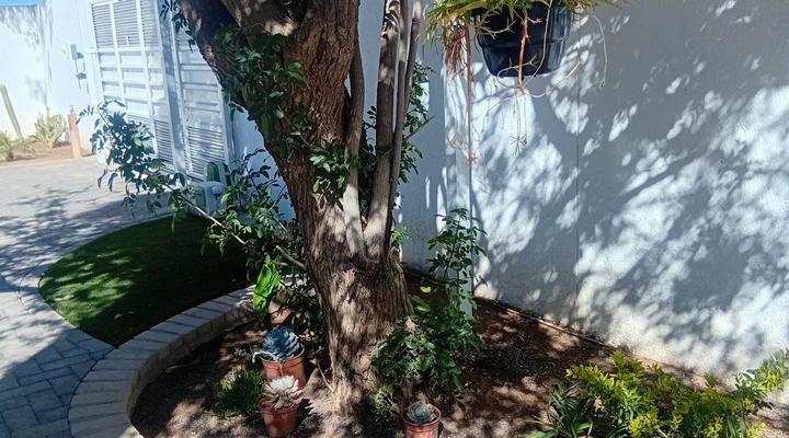 The Amaryllis Guest House