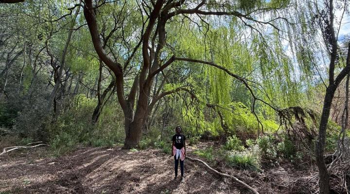 Buitenstekloof Mountain Cottages