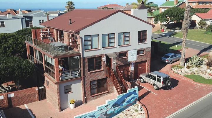 White Shark Guest House