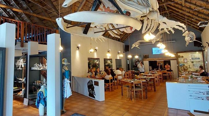 White Shark Guest House