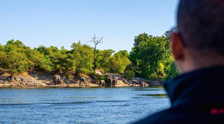 Chobe River Camp Camping