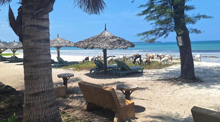 Kipepeo Beach Village