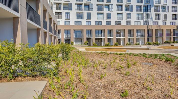 One Rosebank Apartments