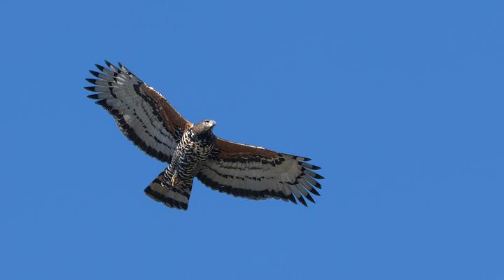 Serenity Place B&B, Conference wedding venue - Breakfast included