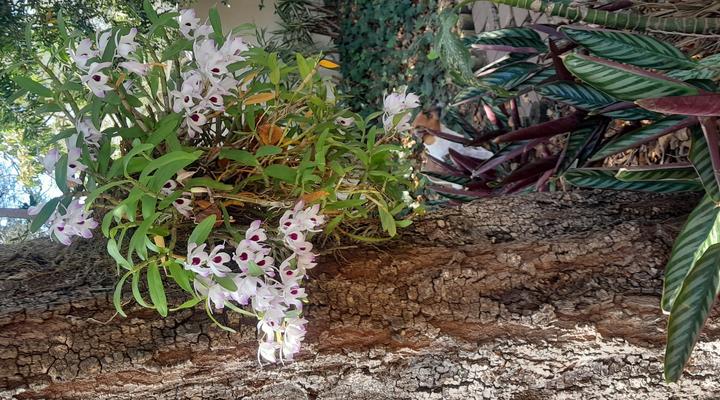 Serenity Place B&B, Conference wedding venue - Breakfast included