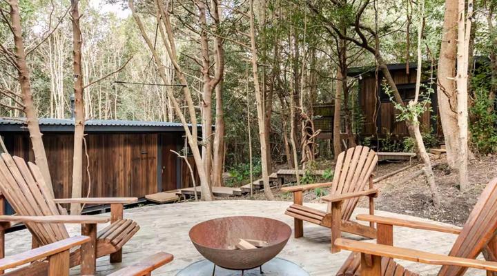 Overstory Forest Cabins