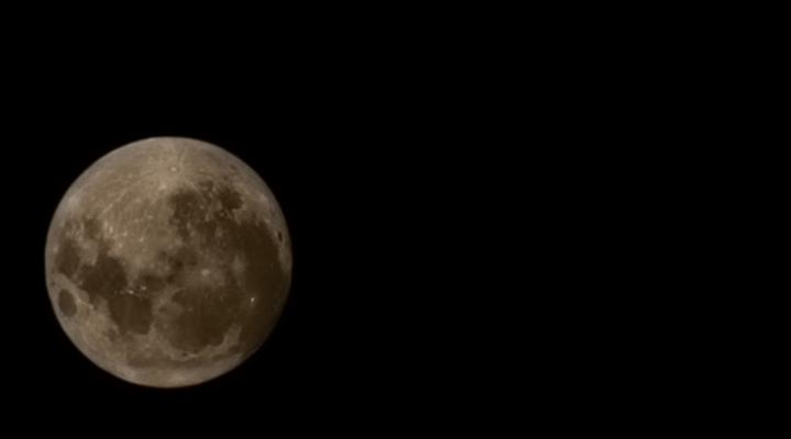 24 Bush house, Elandsfontein, Mabalingwe