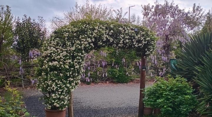 AMANI GUEST HOUSE CLARENS