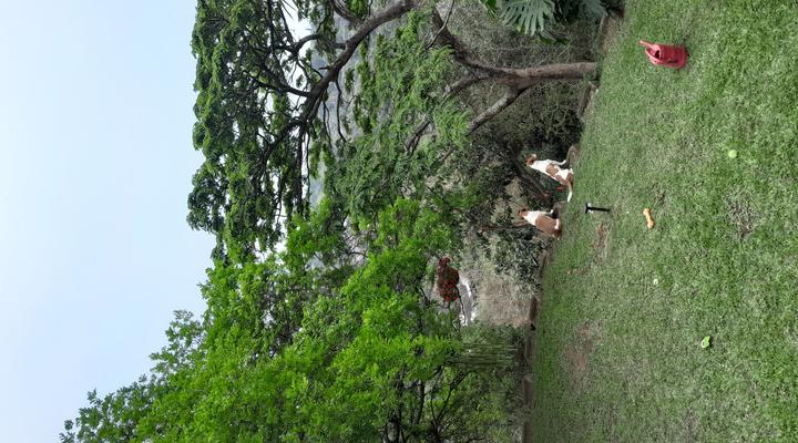 Serenity Place B&B, Conference wedding venue - Breakfast included