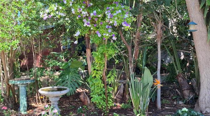 Cedar Lodge Guest House