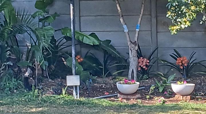 Cedar Lodge Guest House