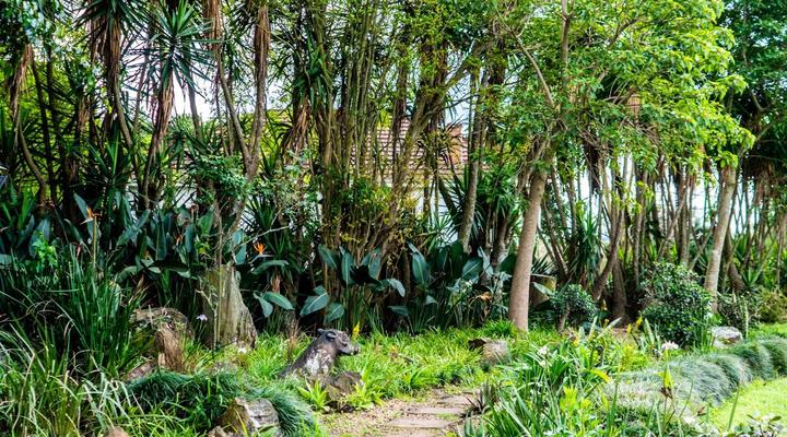 Gilly's Accommodation