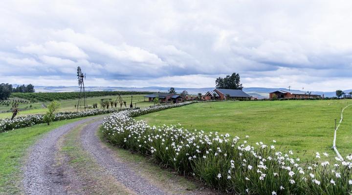 Gilly's Accommodation