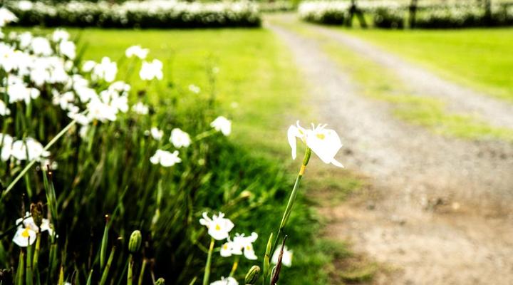 Gilly's Accommodation