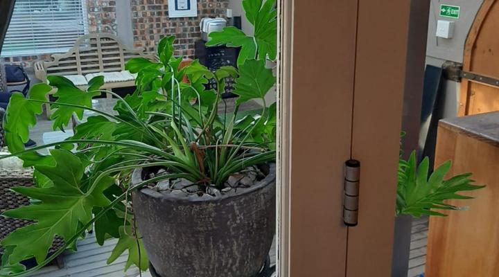 Simply The Choice Manor