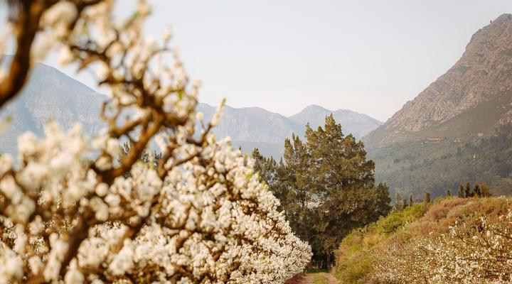 Franschhoek Farm Cottages
