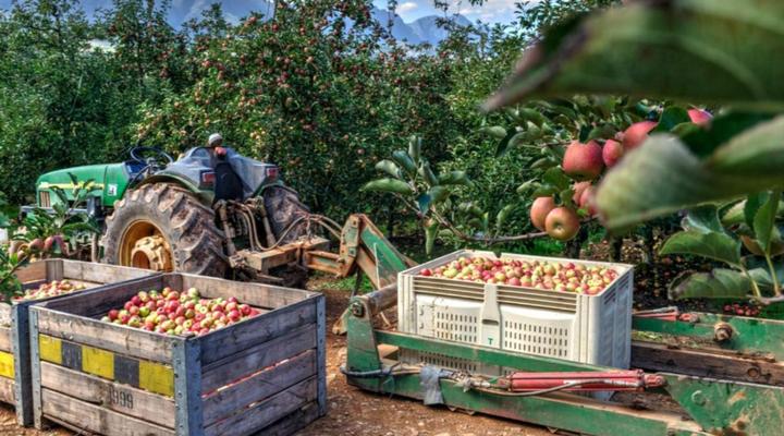 Oewerzicht Tented River Lodge & Farm Cottages