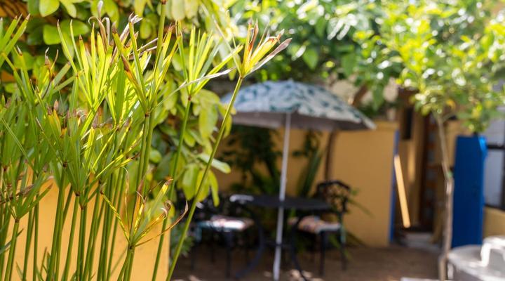 John Bauer Pottery Studio