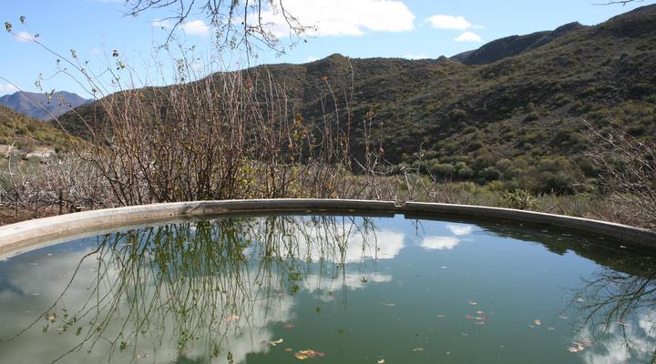 Matjesvlei Retreat Swartskaap