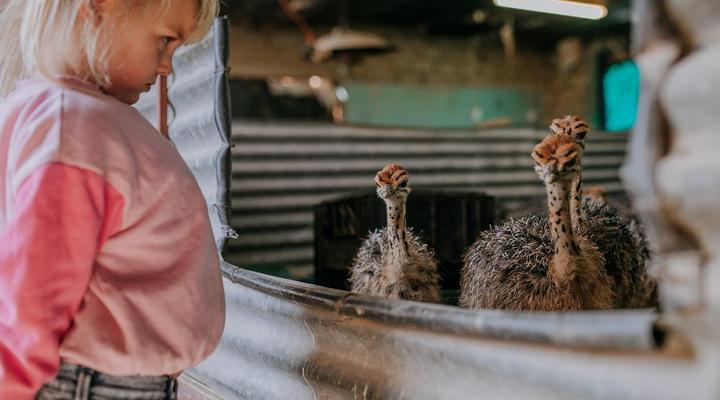 AfriCamps Klein Karoo