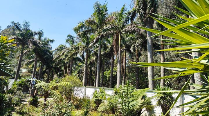 Garden of Eden Cottages & Guest House