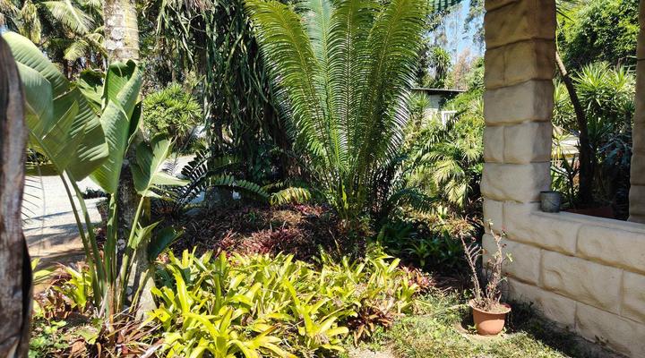 Garden of Eden Cottages & Guest House