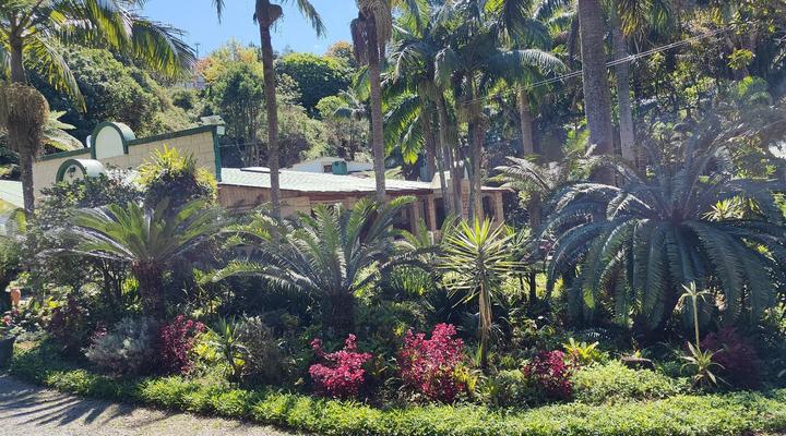 Garden of Eden Cottages & Guest House