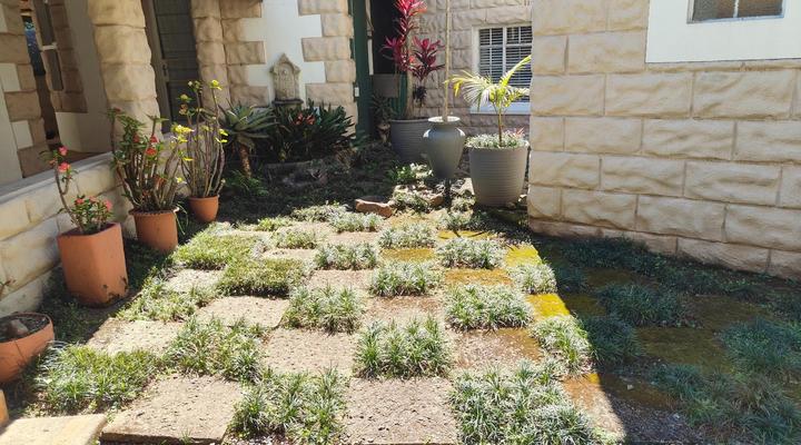 Garden of Eden Cottages & Guest House