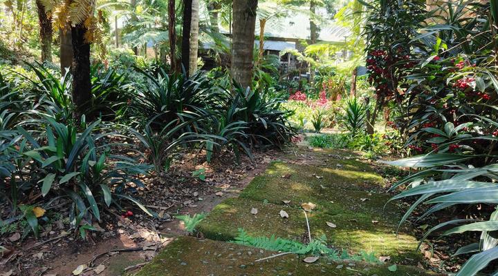 Garden of Eden Cottages & Guest House