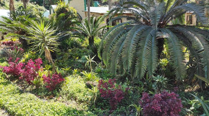 Garden of Eden Cottages & Guest House