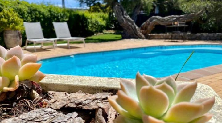 Hermanus Self-Catering