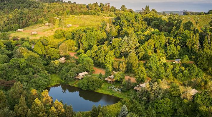 AfriCamps Magoebaskloof