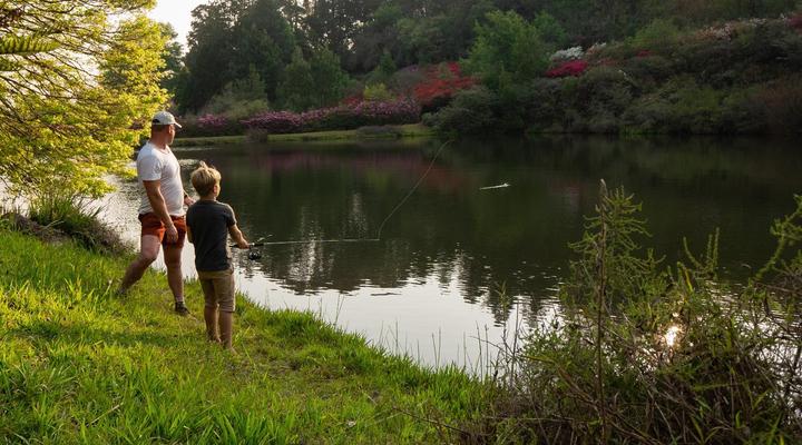 AfriCamps Magoebaskloof