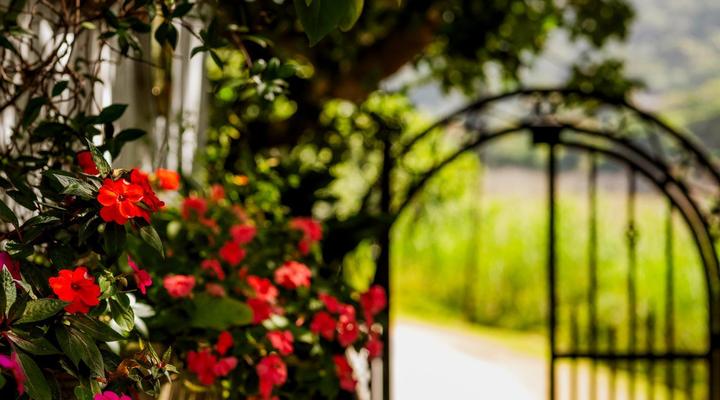 Moontide Guest Lodge