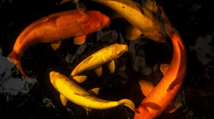 Moontide Guest Lodge