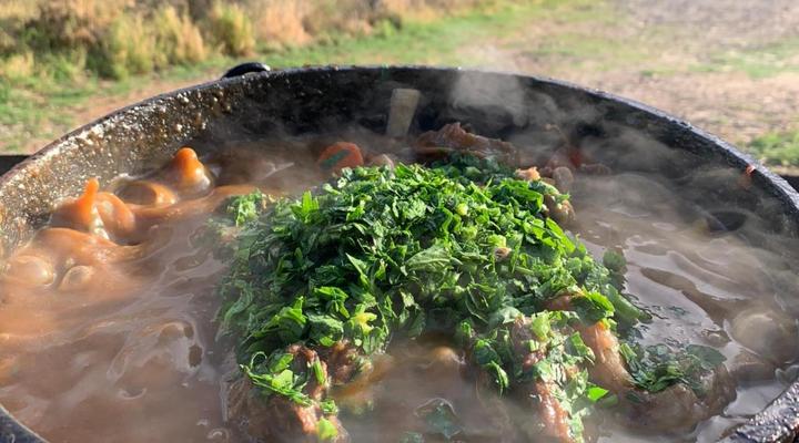 Otavi Vineyards Self-catering & Camping